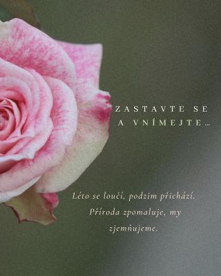 🍂 Když se léto tiše proměňuje v podzim… Příroda zpomaluje – a my můžeme zpomalit s ní. Dovolit si více klidu, hydratace a...